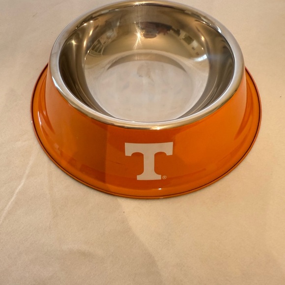 Orange Dog Bowl with Silver Interior - Picture 2 of 6